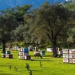 Panzió Alados 2*