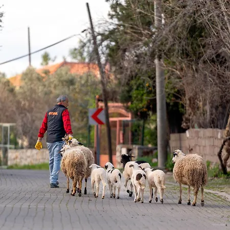 B&B Alados Turgutkoy