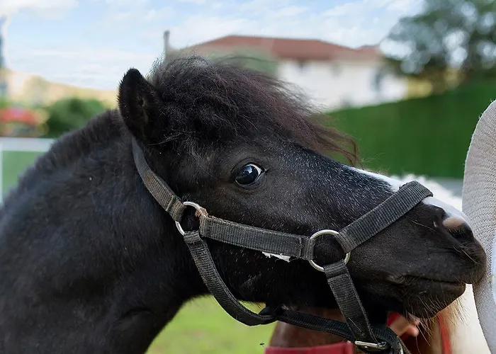 ベッド・アンド・ブレックファスト Alados