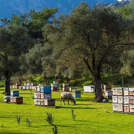 Bed and Breakfast Alados 2*