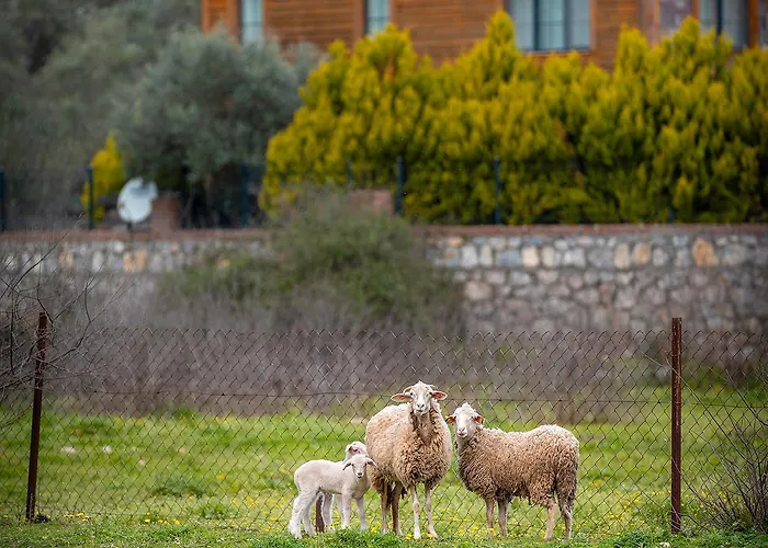 Panzió Alados Turgutkoy
