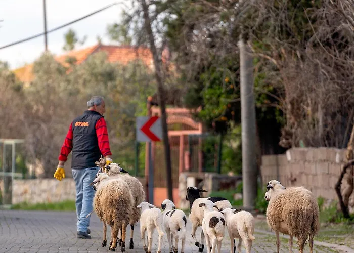 Panzió Alados Turgutkoy