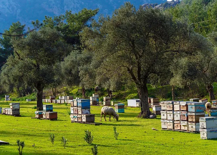 Bed & Breakfast Alados 2*